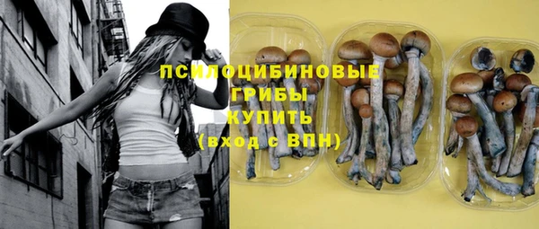 экстази Богородицк