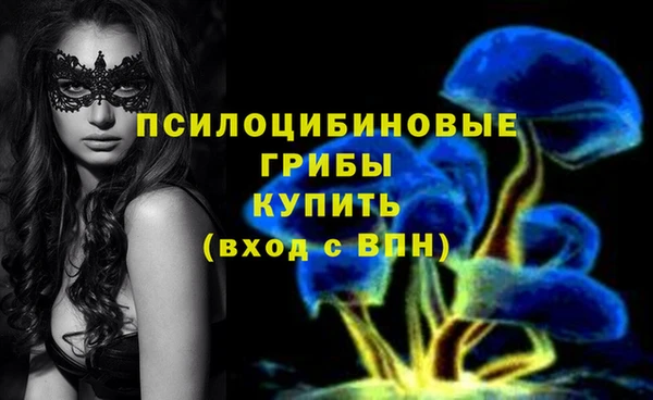 экстази Богородицк