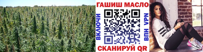 купить Златоуст ТГК Wax