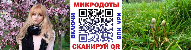Галлюциногенные грибы MAGIC MUSHROOMS  ссылка на мегу ONION  Златоуст  где можно купить наркотик 